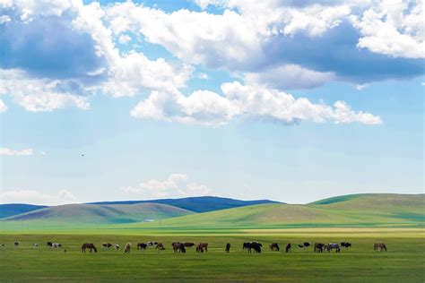 Hulun Buir Grassland: A Sprawling Tapestry of Nature and Nomadic Heritage!