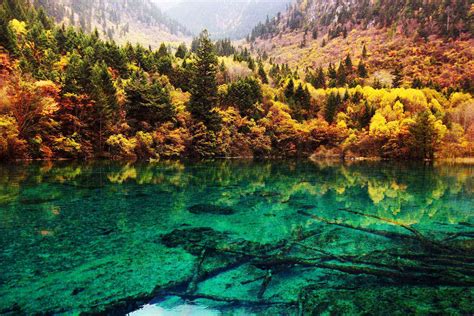 The Jiuzhaigou Valley: A Symphony of Turquoise Lakes and Towering Mountains!