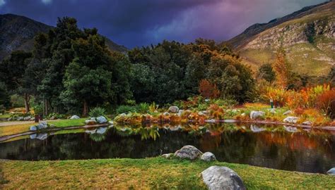 The Harold Porter Botanical Gardens: An Untamed Eden of Floral Wonders and Captivating Scenic Beauty!