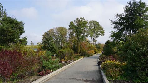 The Vavilov State Botanical Garden: A Hidden Oasis of Biodiversity and Tranquility in Vladivostok!